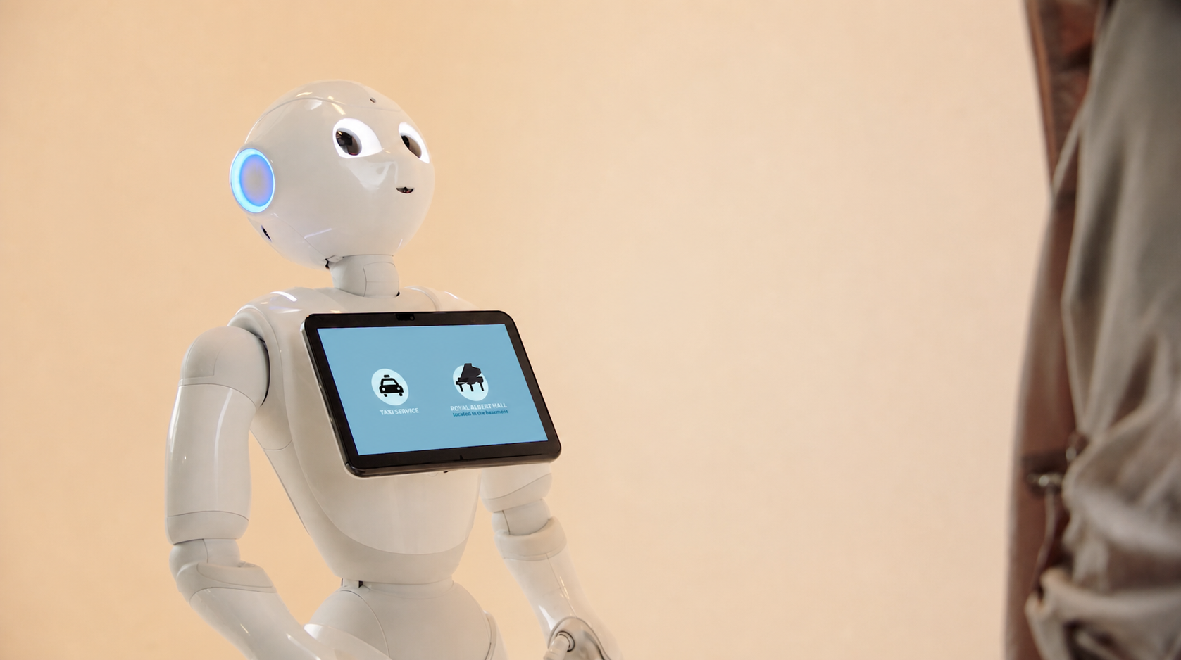 ATTESA E ORIENTAMENTO: Pepper in un progetto reale